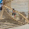 IMG_7329